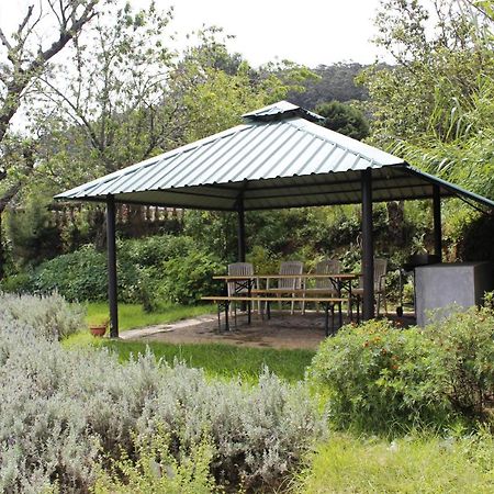 Senani Colonial Holiday Bungalow Nuwara Eliya Eksteriør bilde