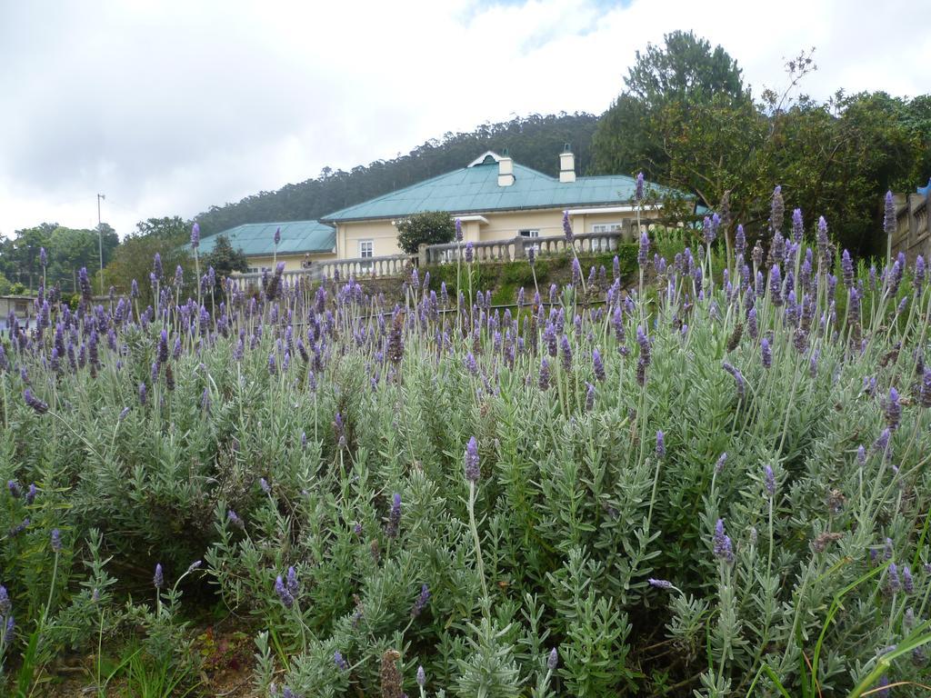 Senani Colonial Holiday Bungalow Nuwara Eliya Rom bilde