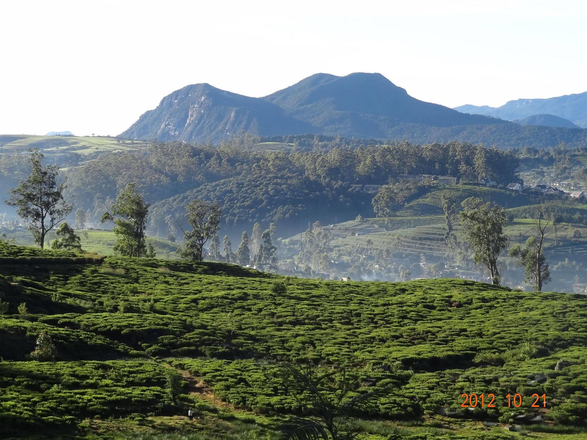 Senani Colonial Holiday Bungalow Nuwara Eliya Eksteriør bilde